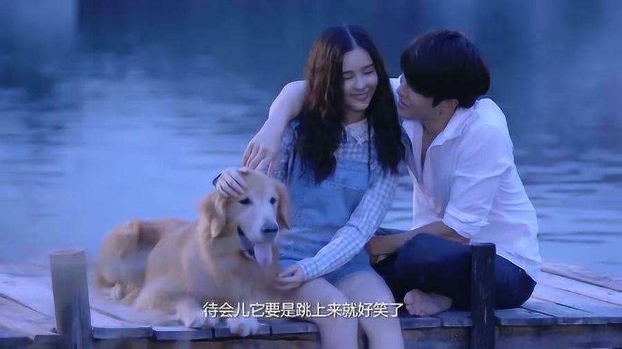 红色色盲的蜜蜂,为何能够采集红色花朵的花蜜?真相在这里