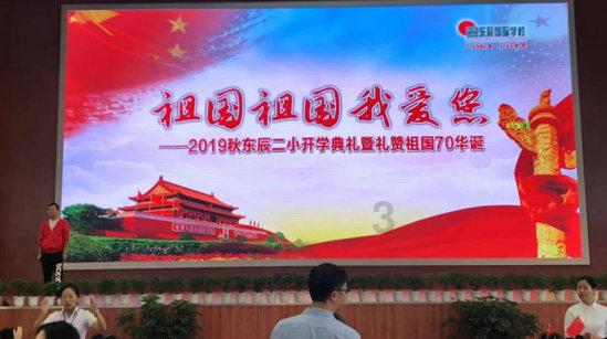 植物大战僵尸15