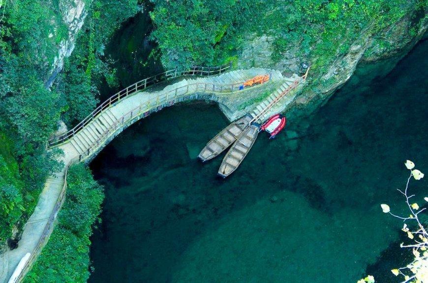 植物大战僵尸8